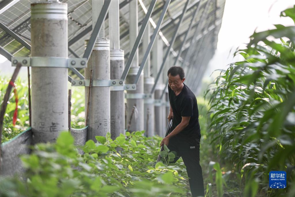 博艺堂娱乐官方网站